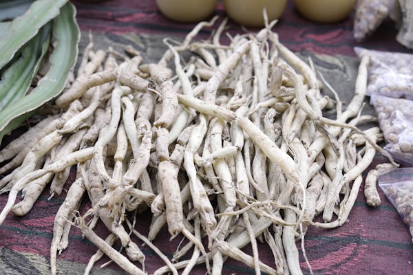 Ashwagandha